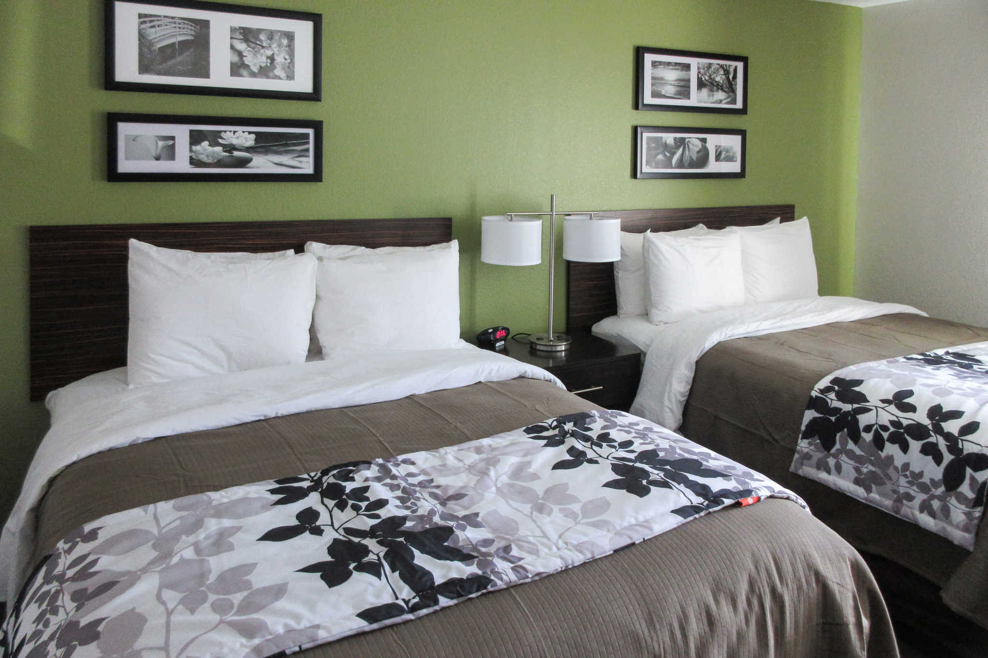 Sleep Inn & Suites College Station Room photo